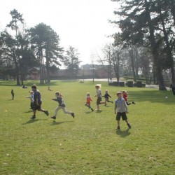 IMG 0273  Medium - Scouts en Gidsen Zaventem 